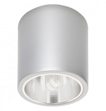Накладной светильник Nowodvorski 4867 Downlight Silver