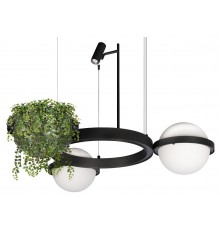 Подвесной светильник Loft it 10121/2 Jardin