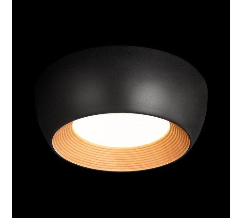 Накладной светильник Loft it 10255/350 Black Folk