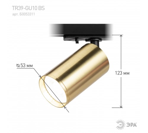 Светильник на штанге Эра TR39-GU10 BS