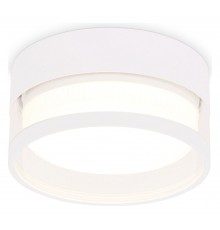 Накладной светильник Ambrella Light TN5505 TN