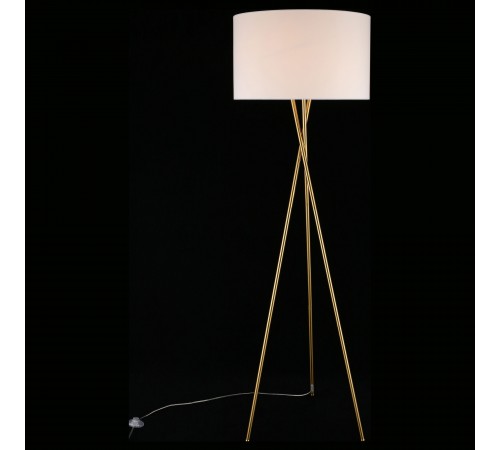 Торшер Aployt APL.637.05.01 Anastasi