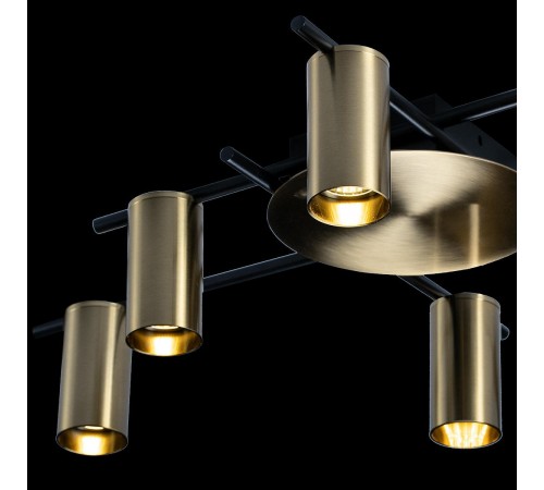 Потолочная люстра Loft it 8120C-6 Tribes