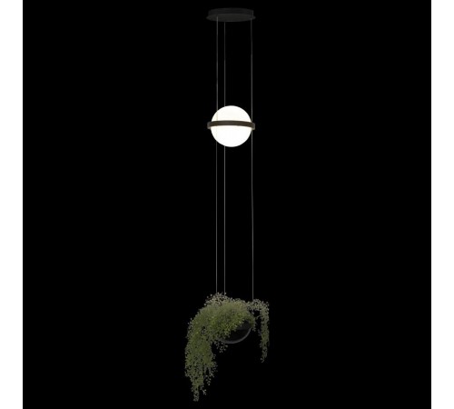 Подвесной светильник Loft it 10121/B Jardin