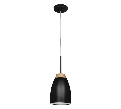 Подвесной светильник Loft it LOFT4402A-BL Watchman