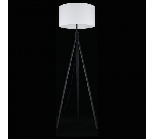 Торшер Aployt APL.636.05.01 Donatin