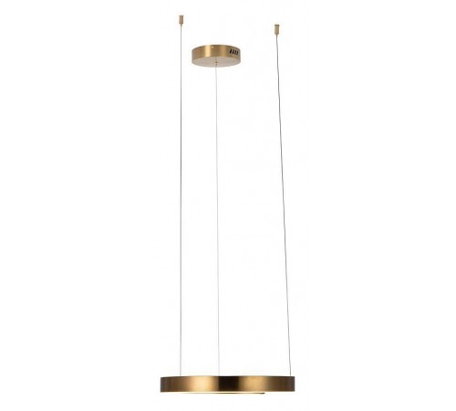 Подвесной светильник Loft it 10013S Ring