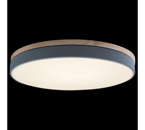 Накладной светильник Loft it 10001/36 Grey Axel