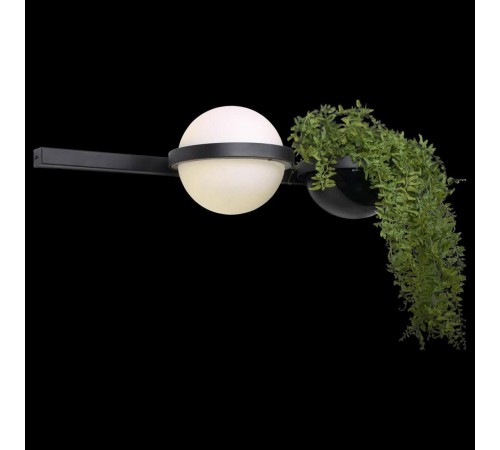 Бра Loft it 10121W/A Jardin