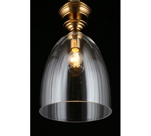 Подвесной светильник Aployt APL.602.16.01 Rena