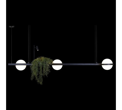 Подвесной светильник Loft it 10121/C Jardin