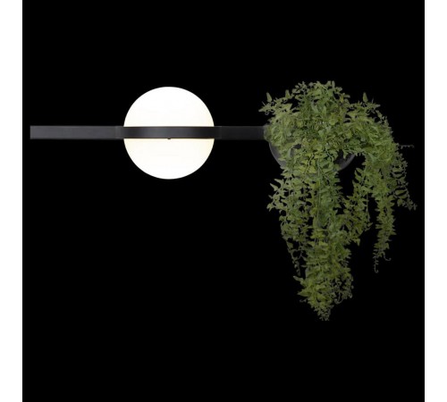 Бра Loft it 10121W/A Jardin