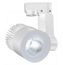 Светильник на штанге Escada 20030TRA/02LED SWH 20030