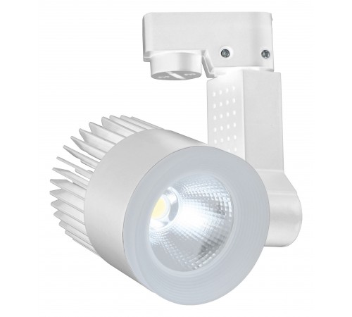 Светильник на штанге Escada 20030TRA/02LED SWH 20030