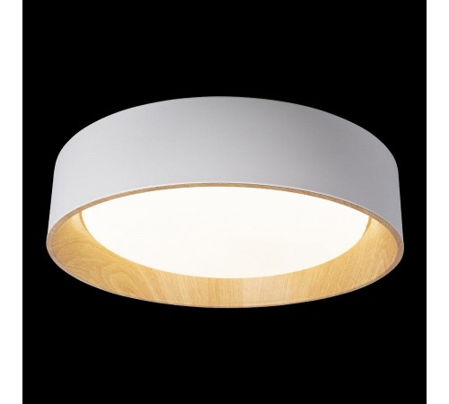 Накладной светильник Loft it 10202 White Coin