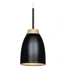 Подвесной светильник Loft it LOFT4402A-BL Watchman