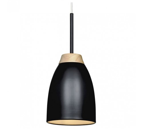 Подвесной светильник Loft it LOFT4402A-BL Watchman