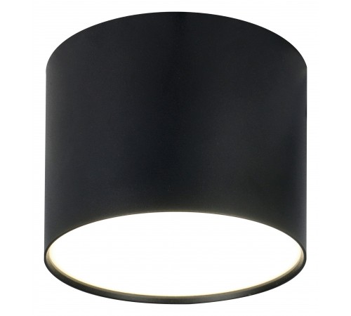 Накладной светильник Escada 20004SMU/01LED SBK 20004