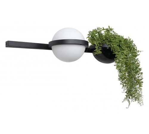 Бра Loft it 10121W/A Jardin