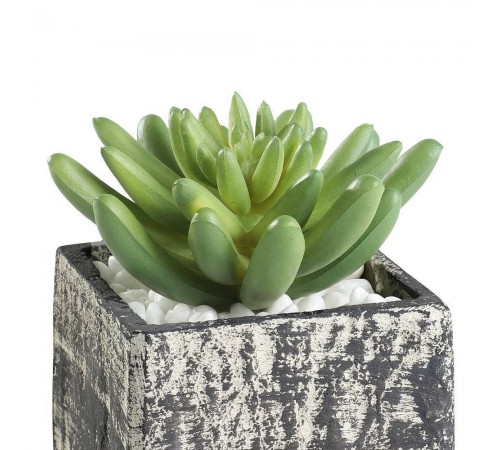 Растение в горшке (75x75x120) Chitose 428007