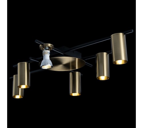 Потолочная люстра Loft it 8120C-6 Tribes