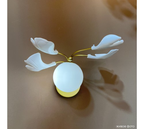 Бра Crystal Lux COLIBRI AP1 GOLD