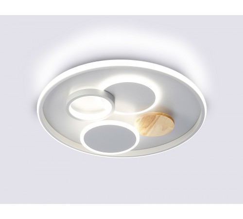 Накладной светильник Ambrella Light FL4803 FL