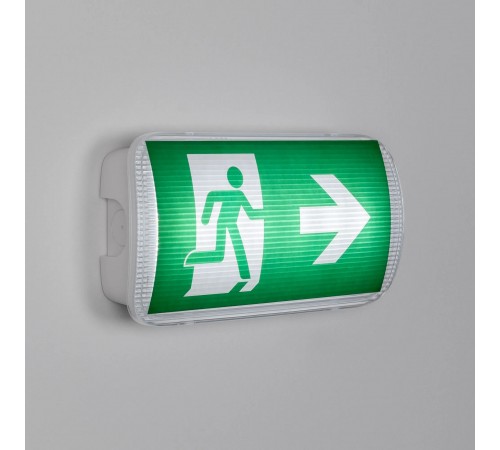 Светильник-указатель Arlight 046151 EMERGENCY