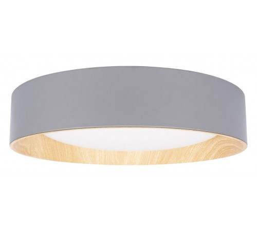 Накладной светильник Loft it 10202 Grey Coin