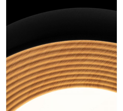 Накладной светильник Loft it 10255/350 Black Folk