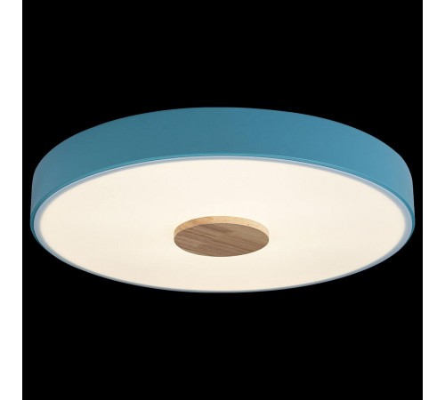 Накладной светильник Loft it 10003/24 Blue Axel 2