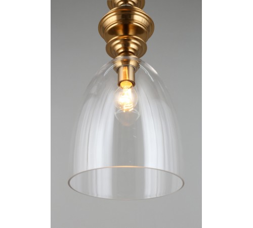 Подвесной светильник Aployt APL.602.16.01 Rena