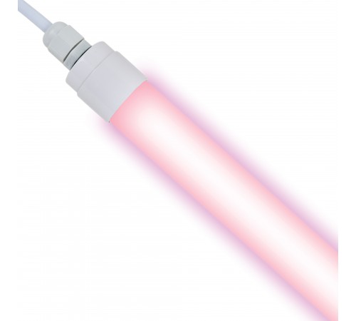 Светильник для птицеводства Uniel UL-00001608 ULY-P6