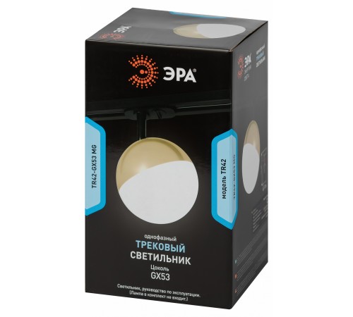 Светильник на штанге Эра TR42-GX53 MG