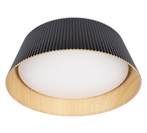 Накладной светильник Loft it 10224 Black Evans