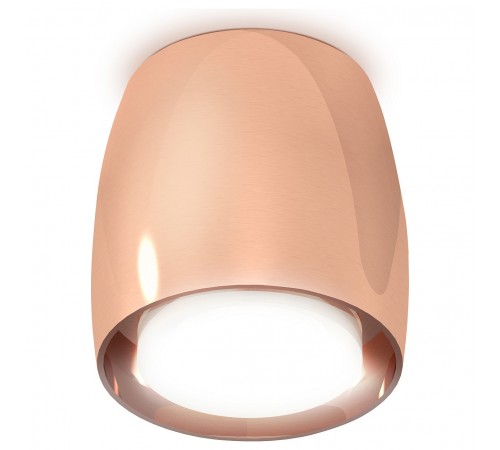 Накладной светильник Ambrella Light XS1144020 XS