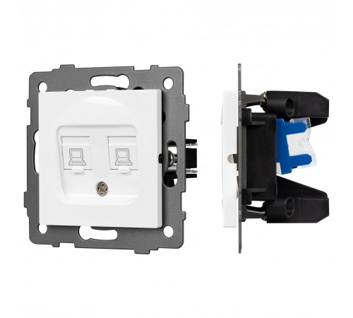 Розетка двойная RJ-12 и Ethernet RJ-45, без рамки Arlight 49854 SCT