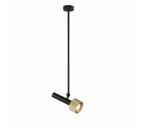 Светильник на штанге iLedex 2361-1 BK+BR Delta