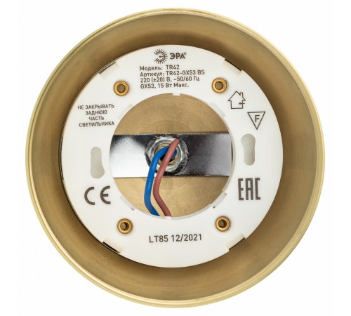 Светильник на штанге Эра TR42-GX53 MG