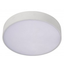 Накладной светильник Aployt APL.0113.09.12 Evon