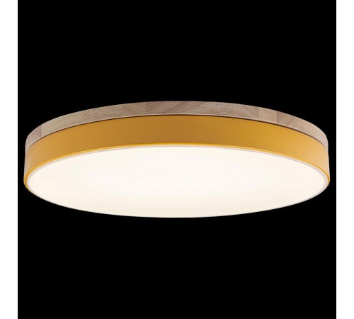Накладной светильник Loft it 10001/36 Yellow Axel