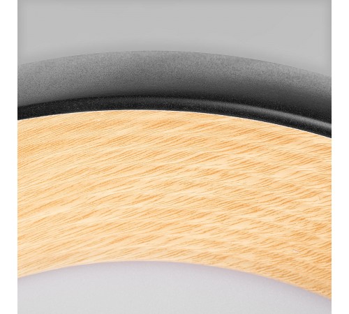 Накладной светильник Loft it 10255/500 Black Folk