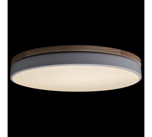 Накладной светильник Loft it 10001/36 White Axel