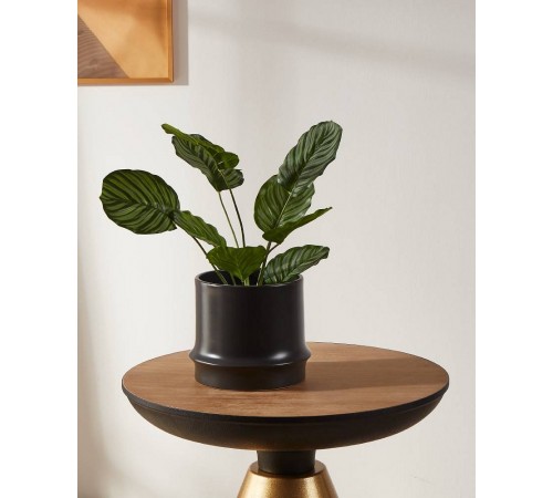 Кашпо (170x160) Parkent 428152