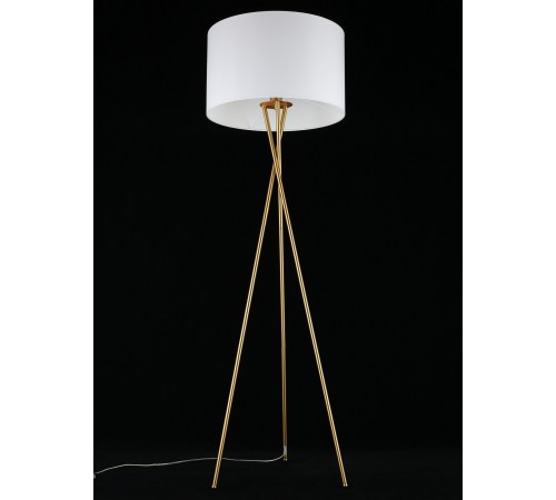 Торшер Aployt APL.637.05.01 Anastasi