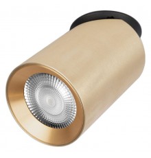 Встраиваемый светильник Loft it 10345 Gold Bar