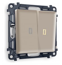 Выключатель двухклавишный с подсветкой без рамки Ambrella Volt MA364010 Quant