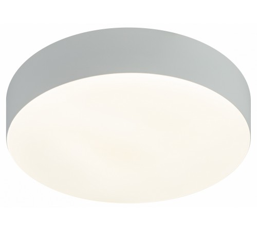 Накладной светильник Эра Relict 22 SPB-6-20 4К WH Relict