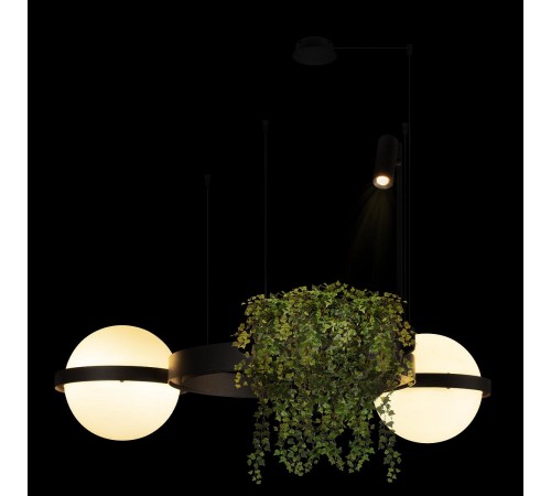 Подвесной светильник Loft it 10121/2 Jardin