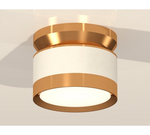 Накладной светильник Ambrella Light XS8101060 XS